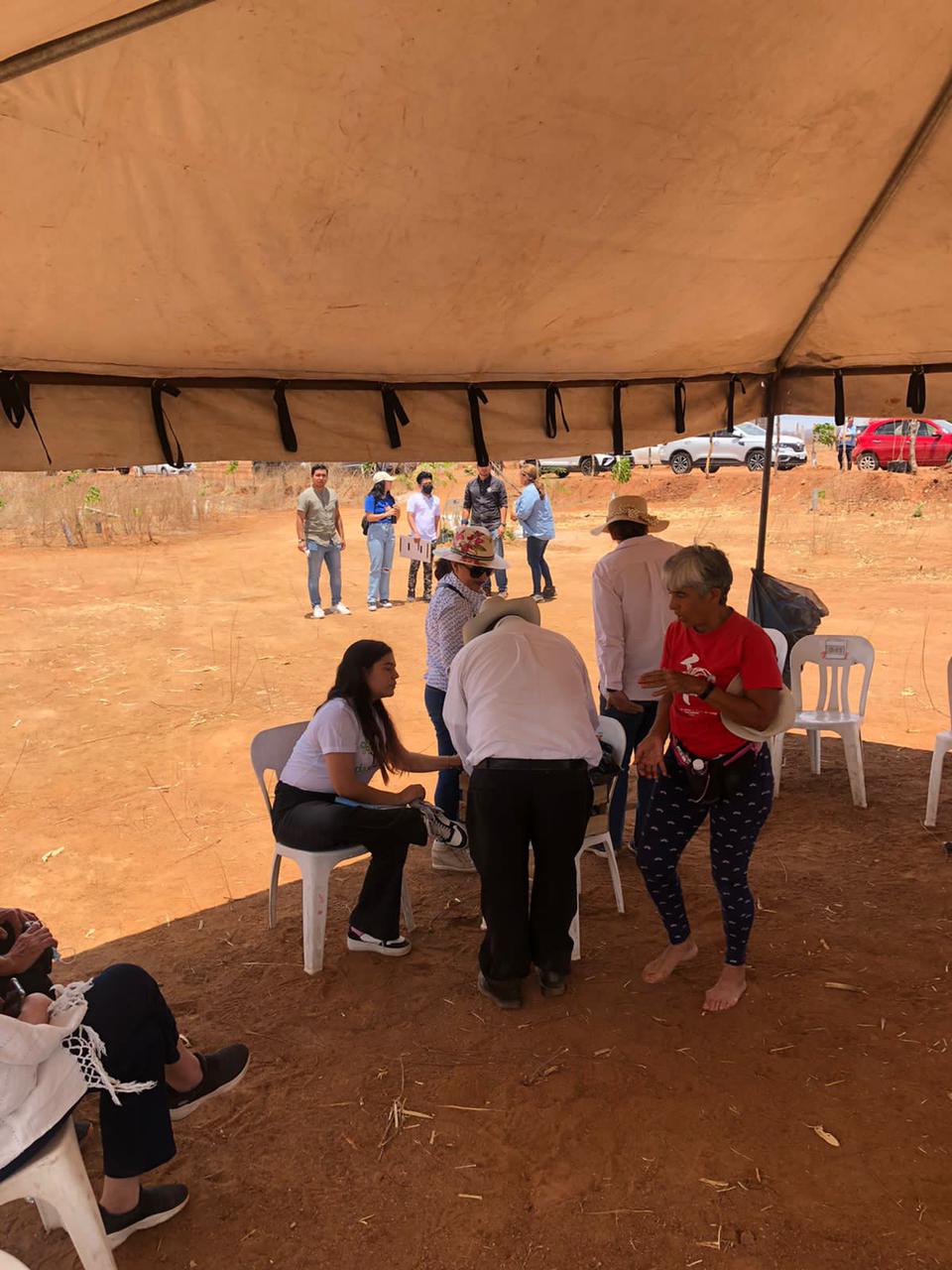 Personas adultas participando en una actividad