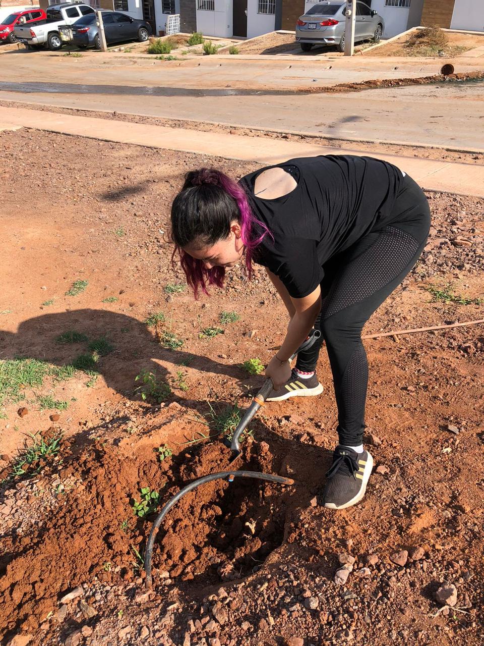 Mujer adulta realizando una actividad de trabajo de campo en el suelo